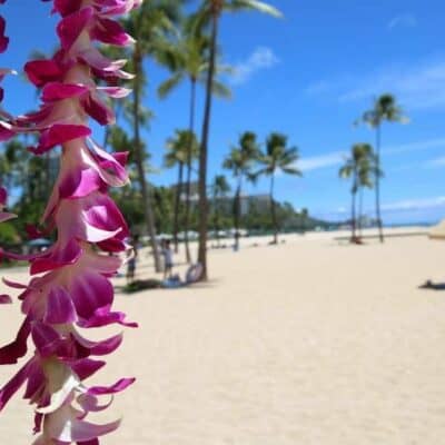Kohala Hawaii Marriage Counseling Retreat Vacations