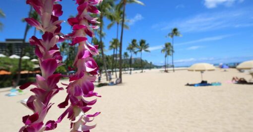 Kohala Hawaii Marriage Counseling Retreat Vacations