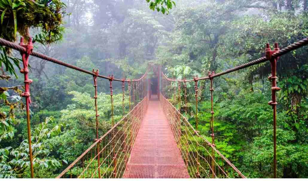 footbridge Monteverde Cloud Forest Reserve Costa Rica