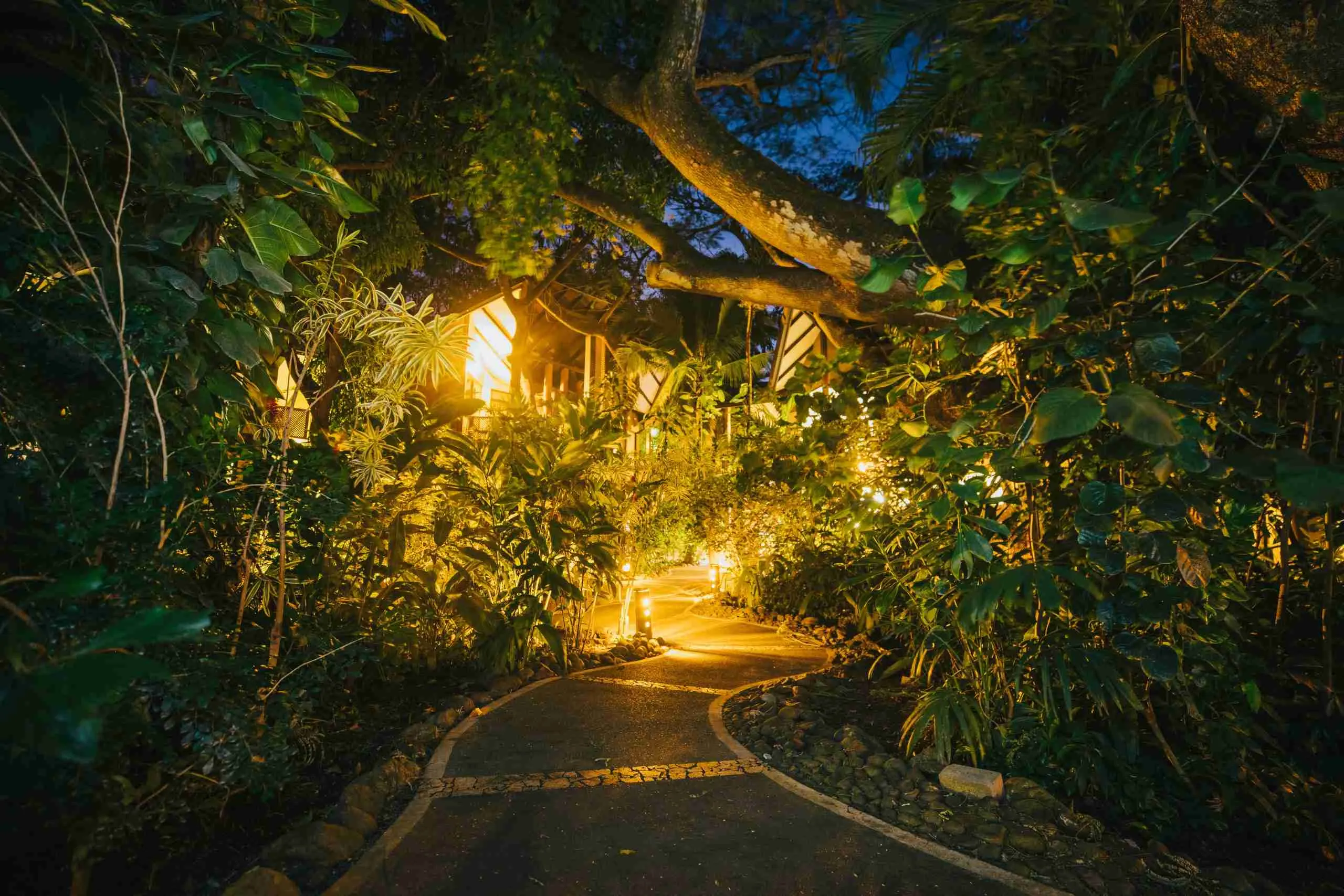 romantic rainforest couples getaway all inclusive resort