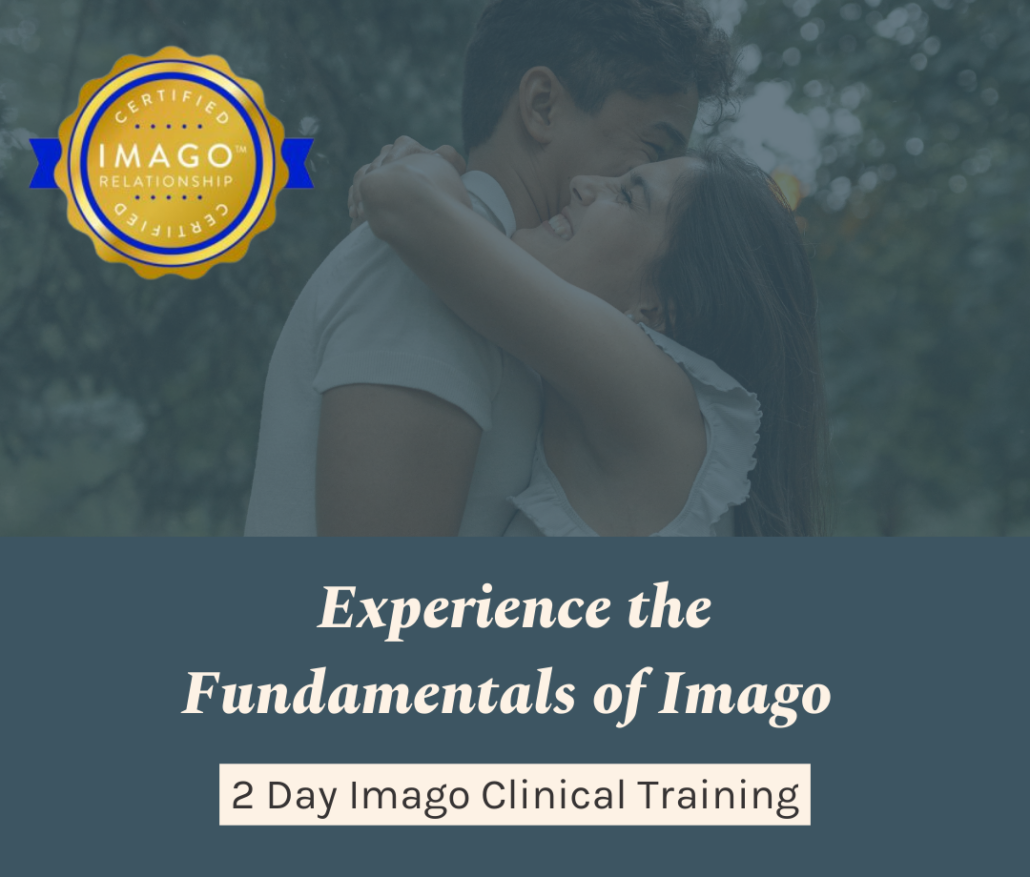 fundamentals of imago training